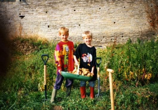Two young boys at an allotment holding a trug of potatoes.