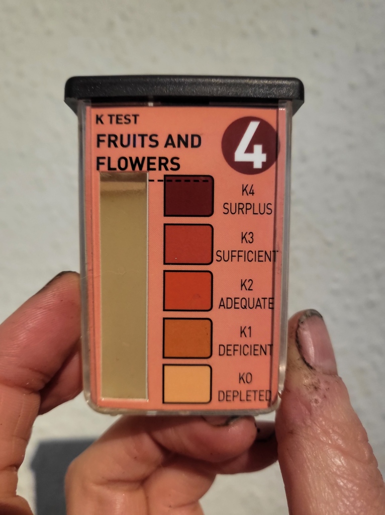 Potassium test container showing low potassium levels.